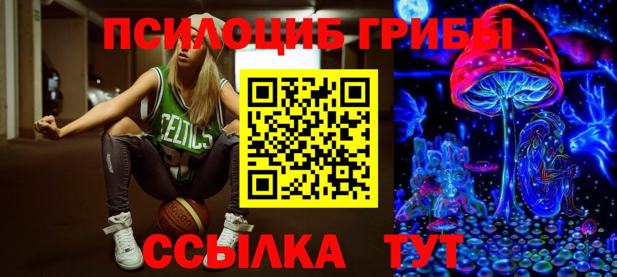 Галлюциногенные грибы Psilocybe Орёл
