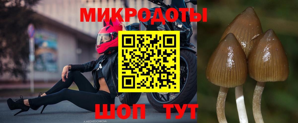 Псилоцибиновые грибы мицелий  купить   Вход с VPN  Орёл  Галлюциногенные грибы мицелий 